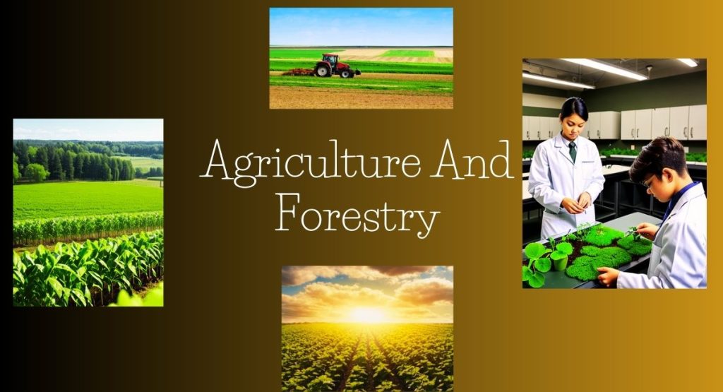 Agriculture And Forestry