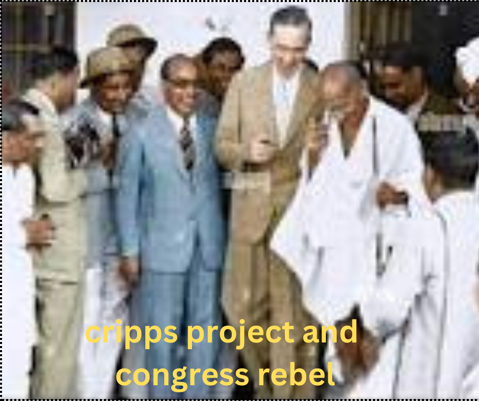 cripps projects